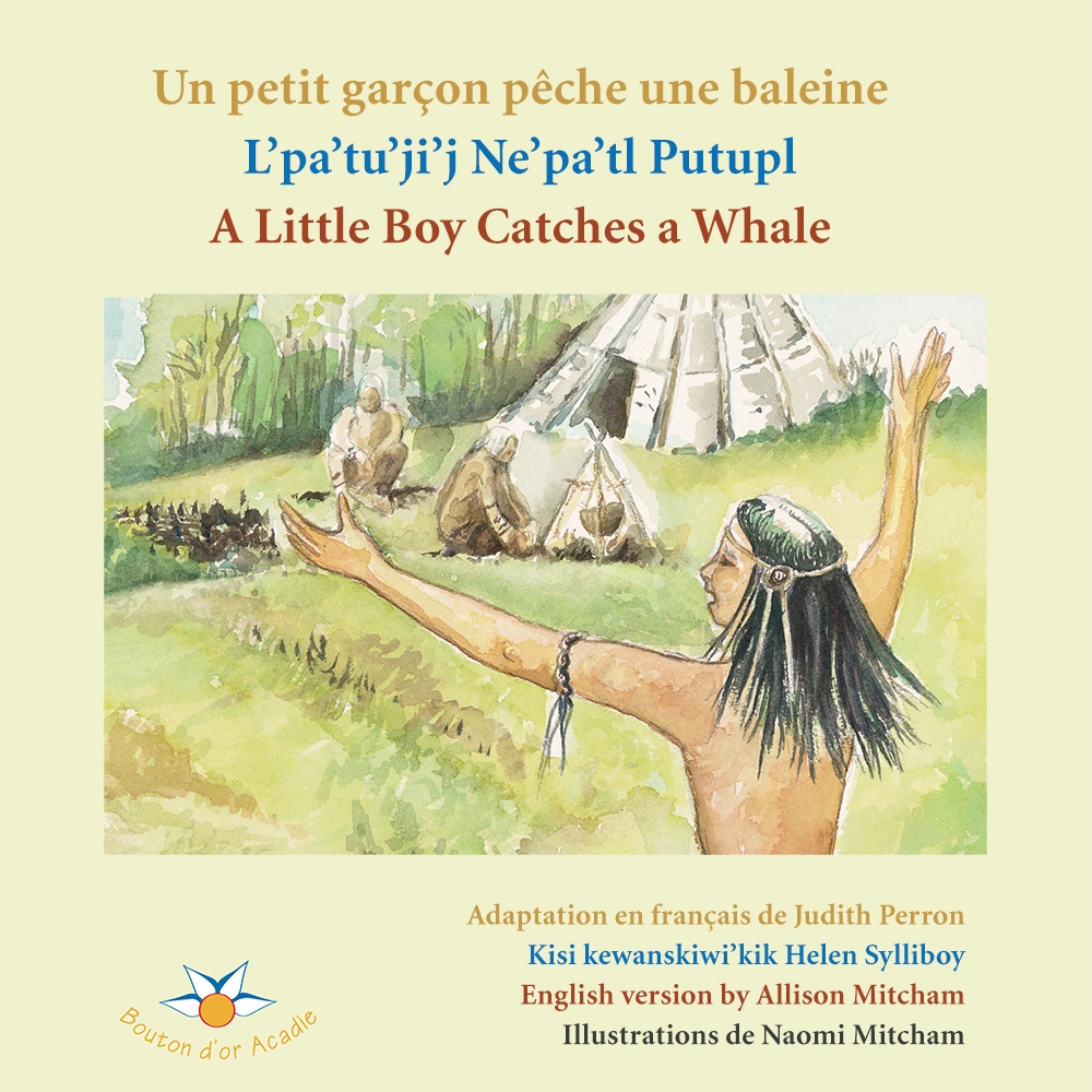 Title details for Un petit garçon pêche une baleine by Judith Perron - Available